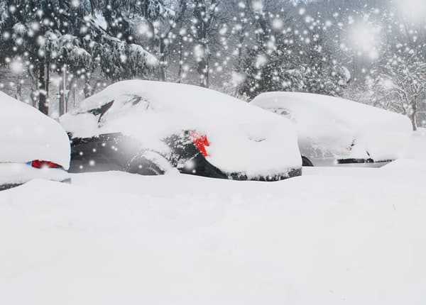 snowy cars