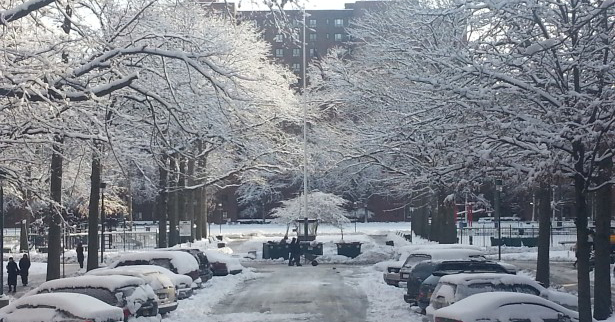 snow in new york city