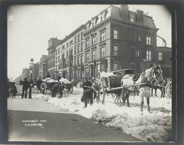 1888 new york city snow removal