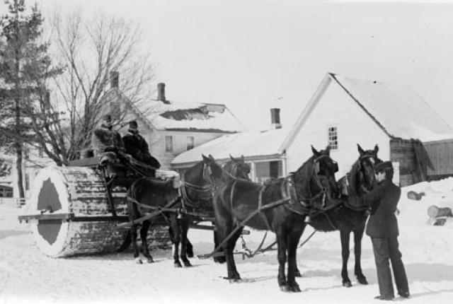 horse-drawn snow roller