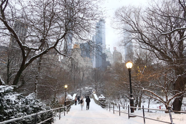 snow in central park